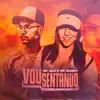 MC Guh, BNB No Beat & MC Danny - Vou Sentando - Single